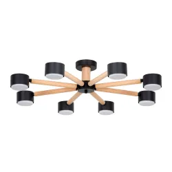 Потолочная люстра Arte Lamp TENDA A1624PL-8BK