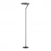 Торшер Divinare SOLE 3234/06 PN-1
