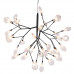 Подвесная люстра Crystal Lux Evita SP36 Black/Transparent