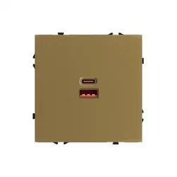 USB зарядное устройство типа A+С USB Socket A+C 65W Gold